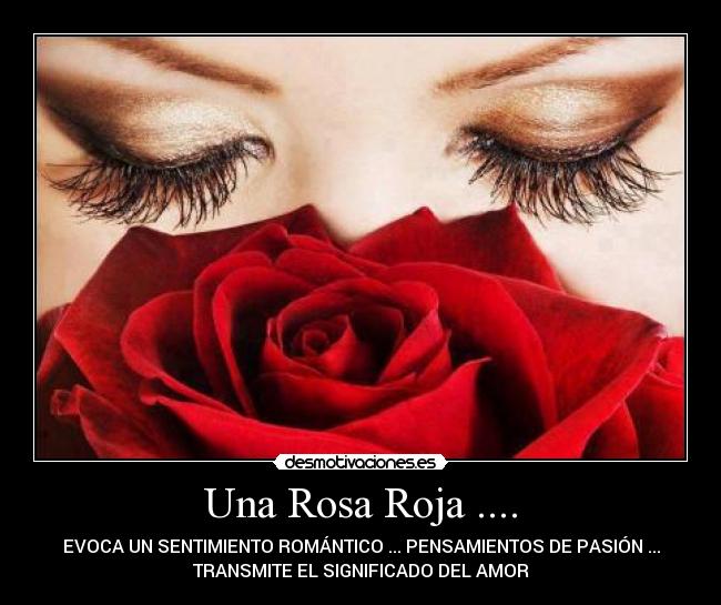 HISTORIA POLITICA ROSA ROJA historia politica rosa roja: