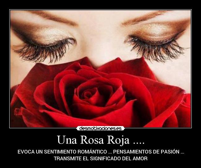 Una Rosa Roja .... - EVOCA UN SENTIMIENTO ROMÁNTICO ... PENSAMIENTOS DE PASIÓN ...
TRANSMITE EL SIGNIFICADO DEL AMOR