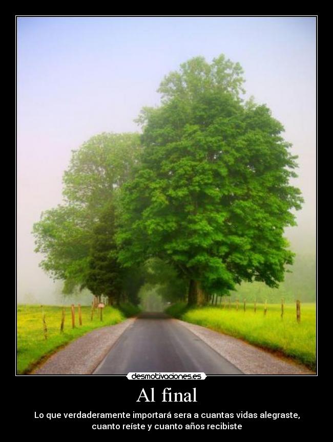 Al final - Lo que verdaderamente importará sera a cuantas vidas alegraste,
cuanto reíste y cuanto años recibiste