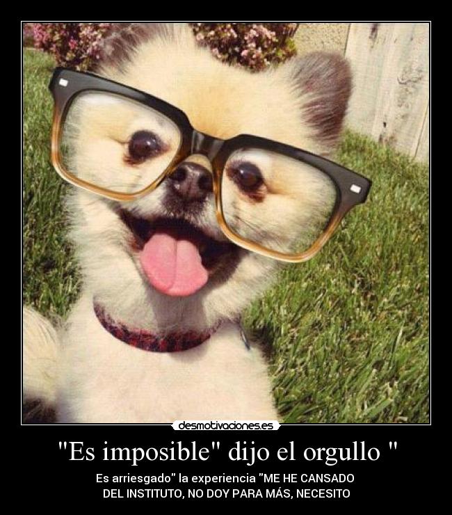 Es imposible dijo el orgullo - Es arriesgado la experiencia ME HE CANSADO
DEL INSTITUTO, NO DOY PARA MÁS, NECESITO