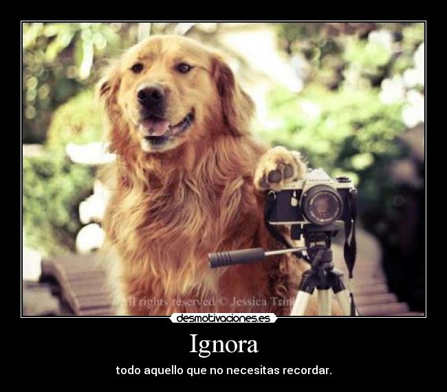 Ignora - todo aquello que no necesitas recordar.