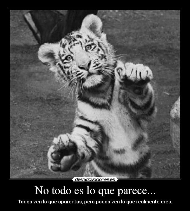 No todo es lo que parece... - Todos ven lo que aparentas, pero pocos ven lo que realmente eres.