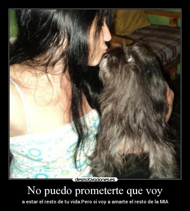 carteles as0825 desmotivaciones