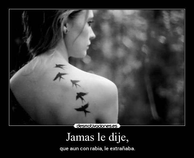 Jamas le dije, - 