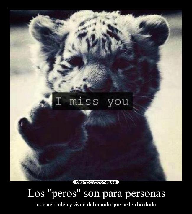 Los peros son para personas - que se rinden y viven del mundo que se les ha dado