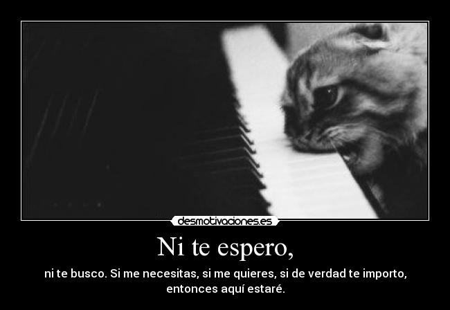 Ni te espero, - ni te busco. Si me necesitas, si me quieres, si de verdad te importo,
entonces aquí estaré.