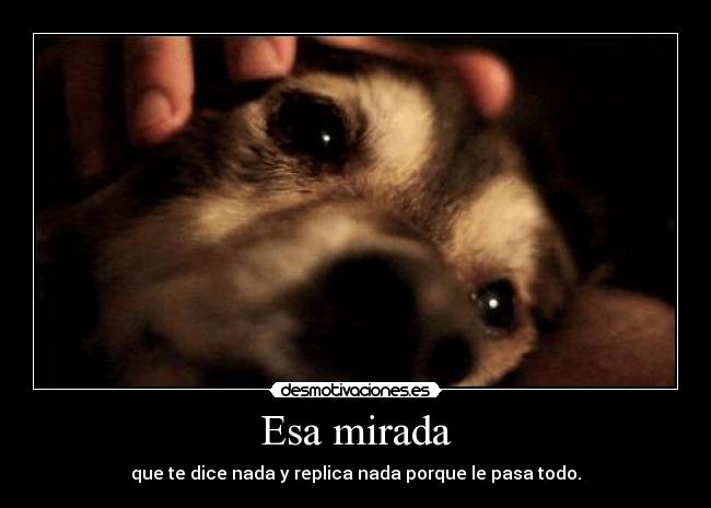 Esa mirada - 