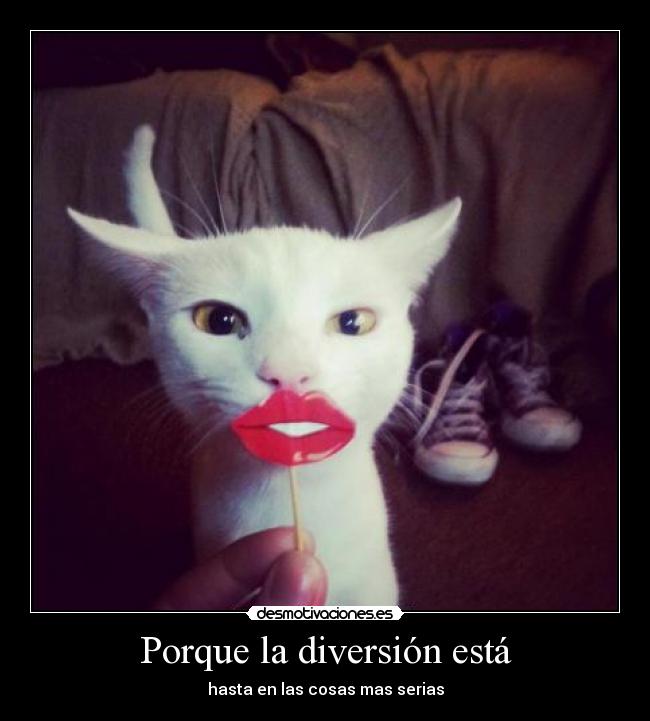 Porque la diversión está - hasta en las cosas mas serias