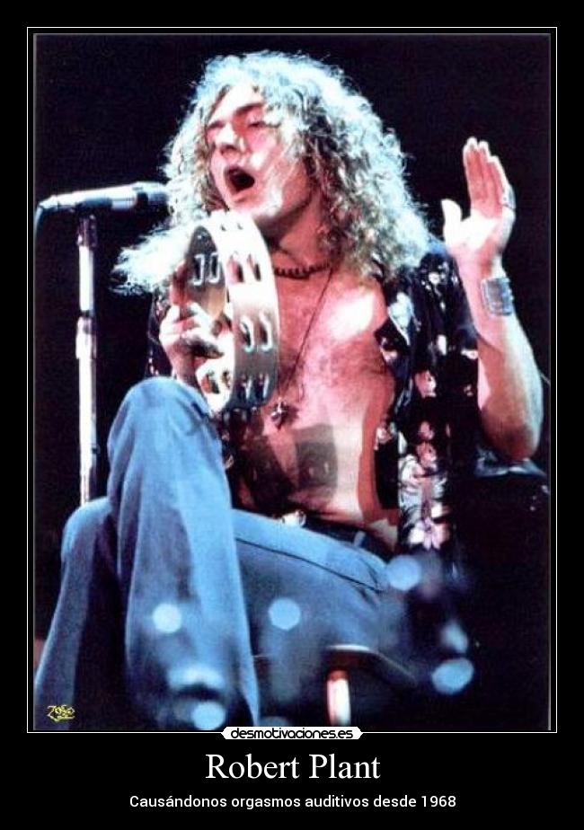 carteles robert plant led zeppelin rock desmotivaciones