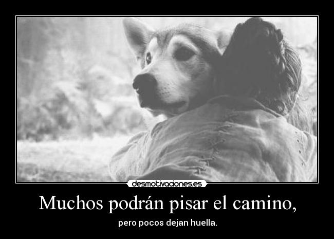 Muchos podrán pisar el camino, - pero pocos dejan huella.