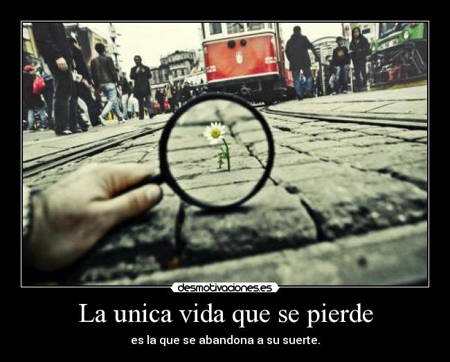 La unica vida que se pierde -