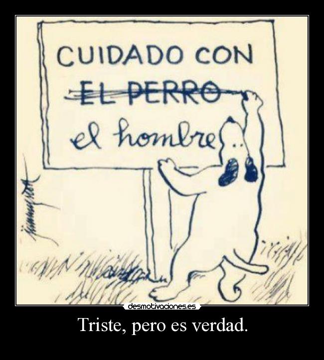 Triste, pero es verdad. - 