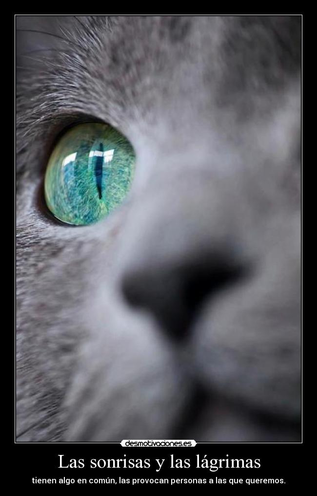 Las sonrisas y las lágrimas -