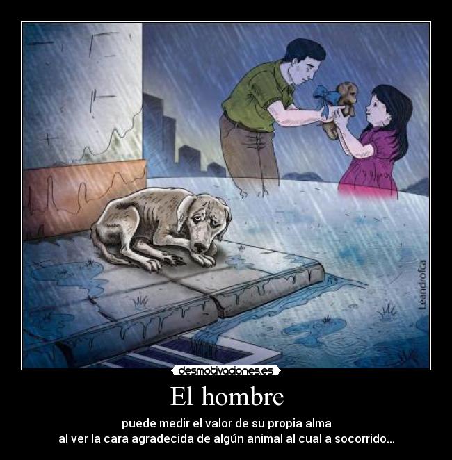 El hombre - puede medir el valor de su propia alma
al ver la cara agradecida de algún animal al cual a socorrido...