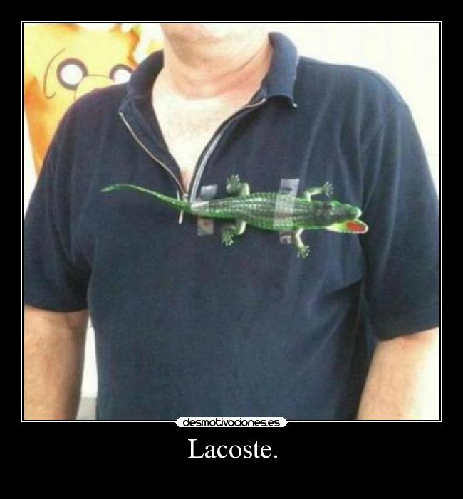 Lacoste. - 