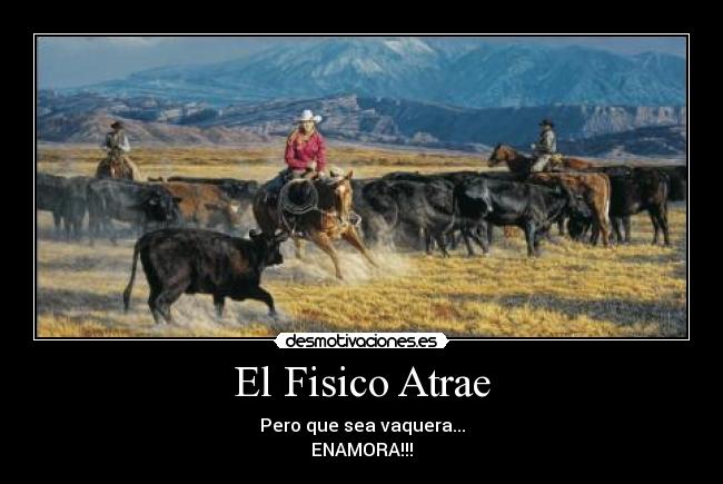 carteles fisico amor desmotivaciones