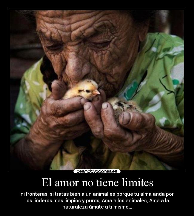 El amor no tiene limites - ni fronteras, si tratas bien a un animal es porque tu alma anda por
los linderos mas limpios y puros, Ama a los animales, Ama a la
naturaleza ámate a ti mismo...