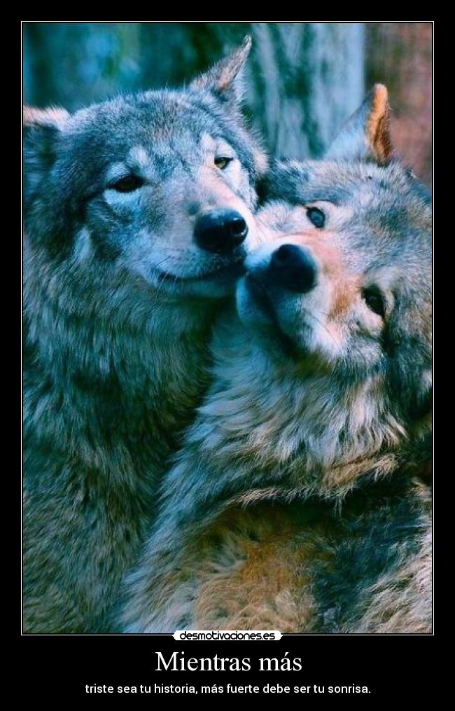 Mientras más - triste sea tu historia, más fuerte debe ser tu sonrisa.