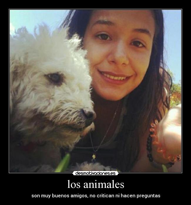 los animales - 