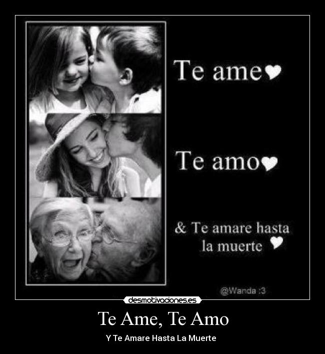 Te Ame, Te Amo - Y Te Amare Hasta La Muerte