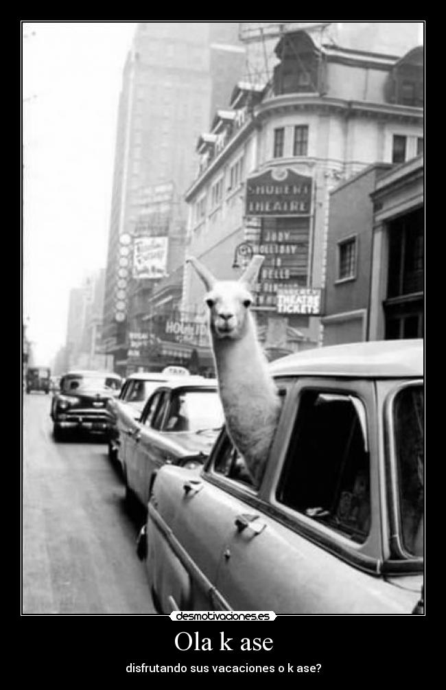 Ola k ase - disfrutando sus vacaciones o k ase?