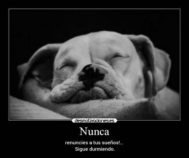 Nunca - renuncies a tus sueños!...
Sigue durmiendo.
