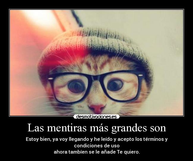 carteles quiero estoy bien voy llegando acepto los terminos condiciones mentiras gatosgafas pastas cute desmotivaciones