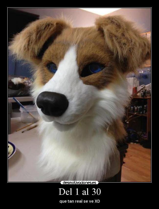 carteles furry desmotivaciones