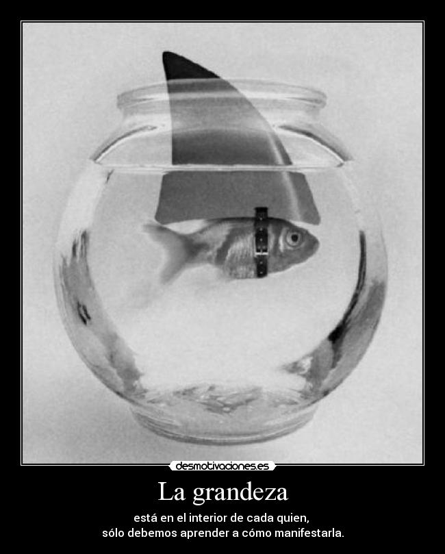 La grandeza - está en el interior de cada quien,
sólo debemos aprender a cómo manifestarla.