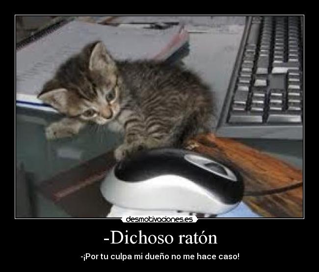 -Dichoso ratón - -¡Por tu culpa mi dueño no me hace caso!