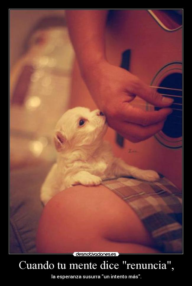 Cuando tu mente dice renuncia, -