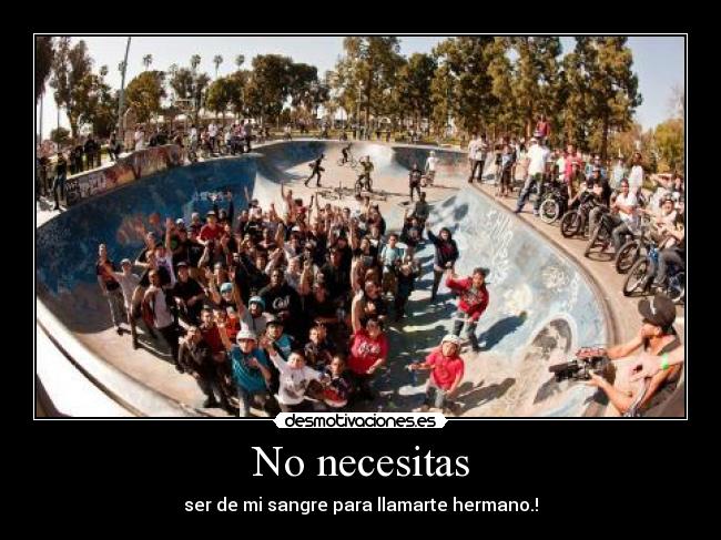 No necesitas -