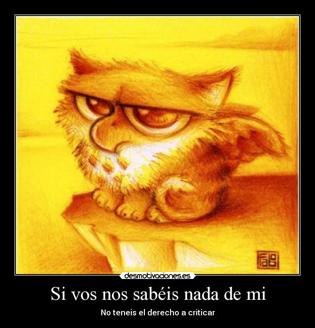 Si vos nos sabéis nada de mi - No teneis el derecho a criticar