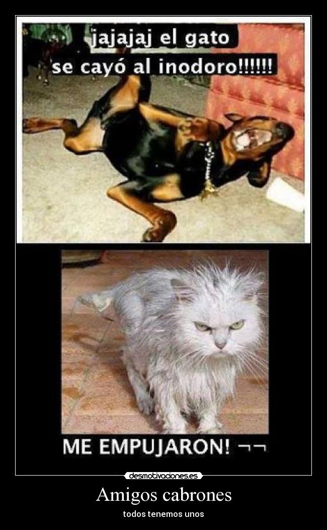 Amigos cabrones - todos tenemos unos