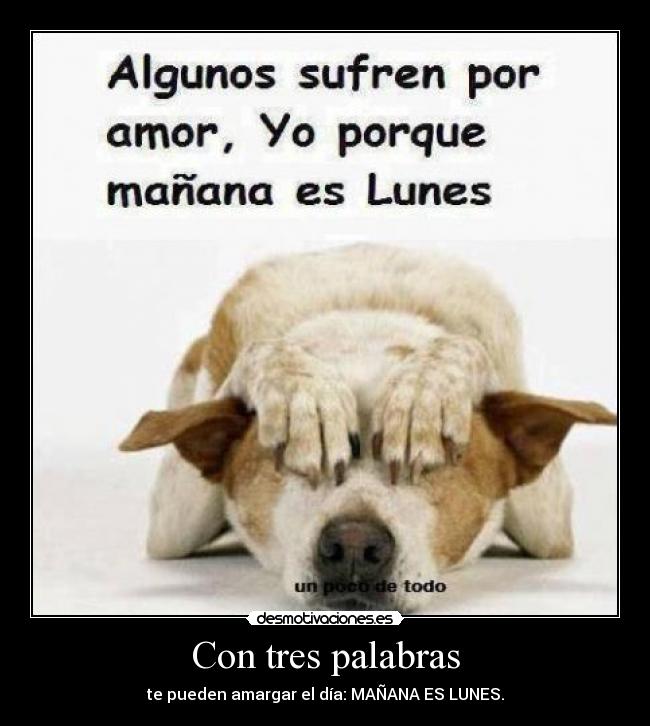 carteles amargar desmotivaciones