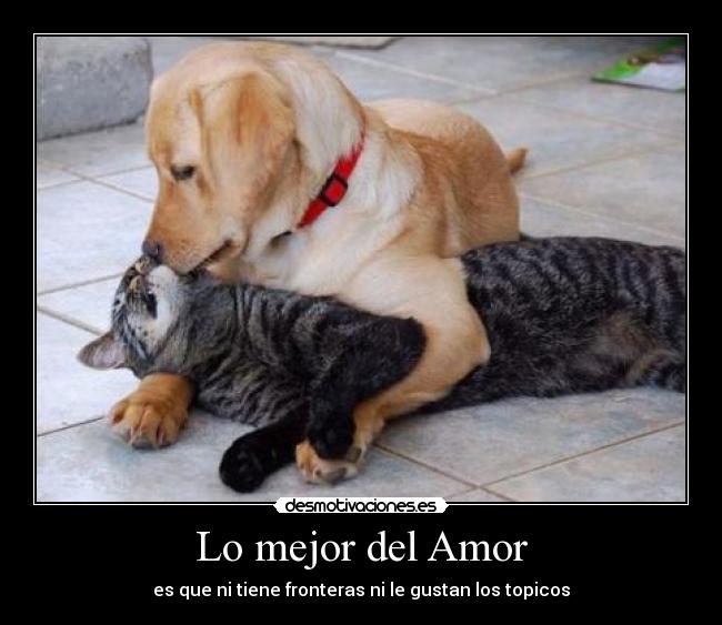 Lo mejor del Amor - es que ni tiene fronteras ni le gustan los topicos