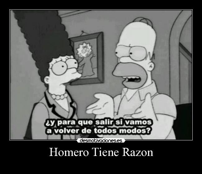 Homero Tiene Razon -
