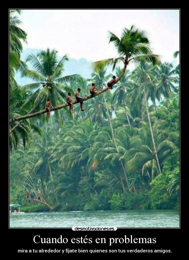 Cuando estés en problemas -