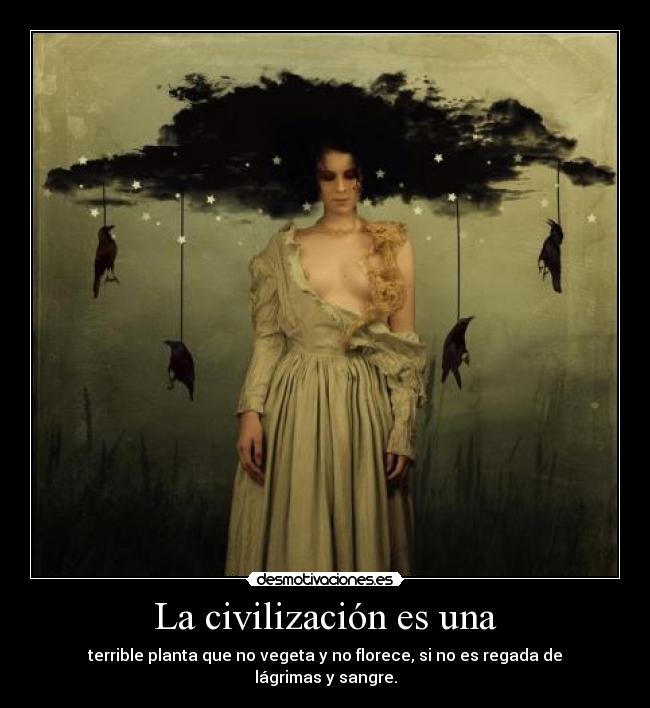 carteles amm arturo graf kingabrit desmotivaciones