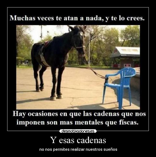 carteles cadenas desmotivaciones