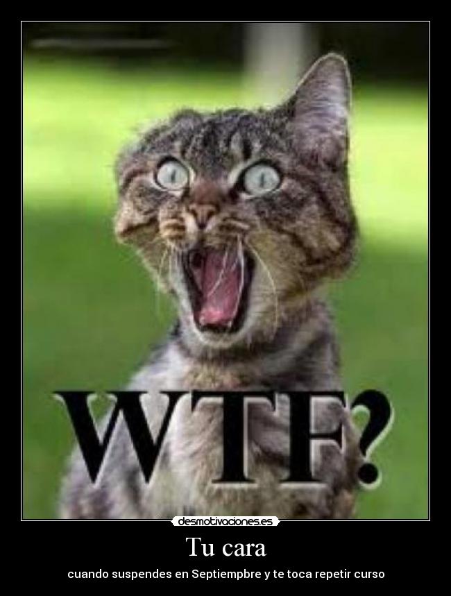 Tu cara - cuando suspendes en Septiempbre y te toca repetir curso