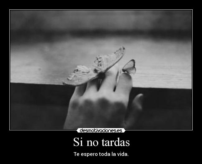 Si no tardas -