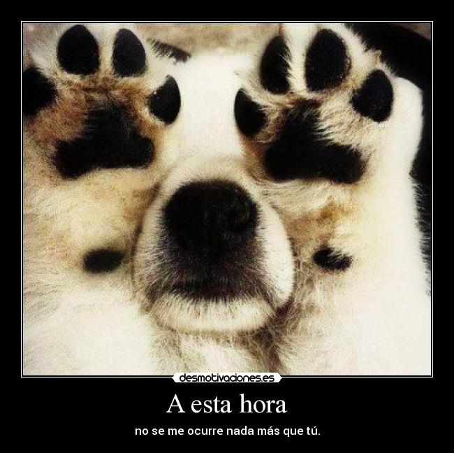 A esta hora - no se me ocurre nada más que tú.