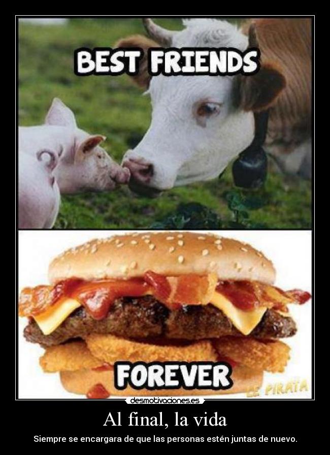 carteles vida forever friends desmotivaciones