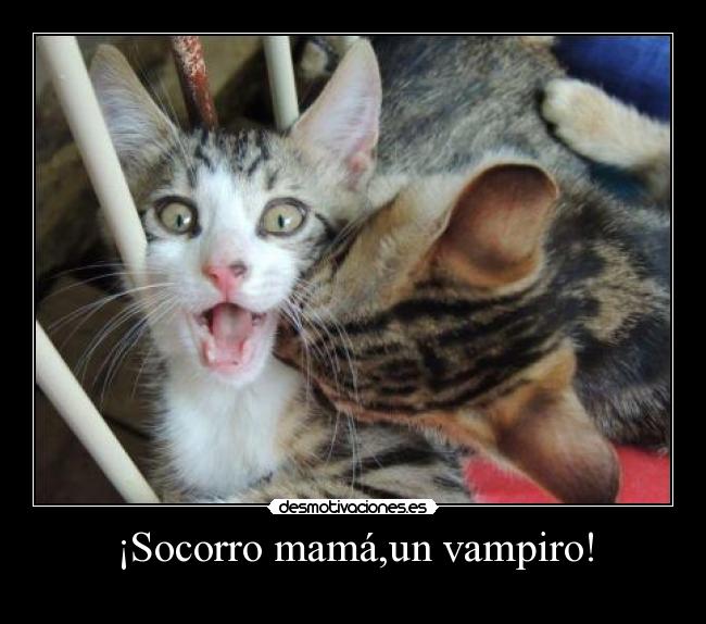 ¡Socorro mamá,un vampiro! -