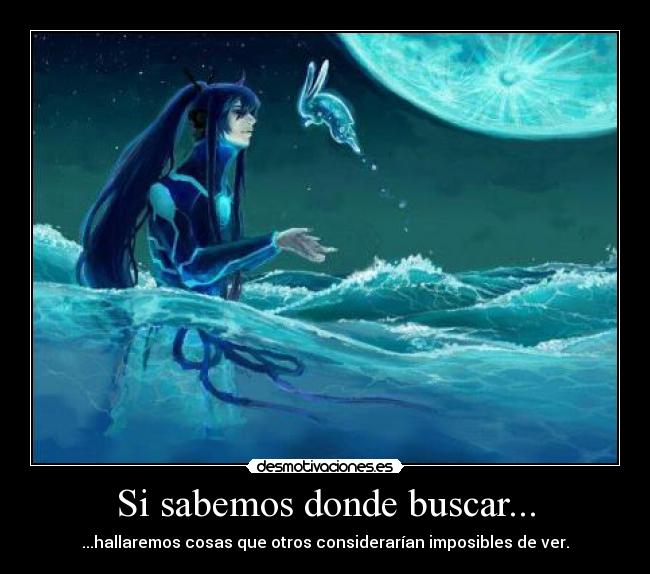 Si sabemos donde buscar... - ...hallaremos cosas que otros considerarían imposibles de ver.