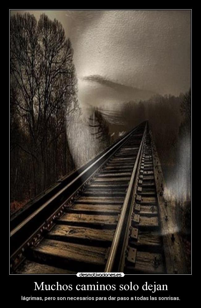 Muchos caminos solo dejan - lágrimas, pero son necesarios para dar paso a todas las sonrisas.