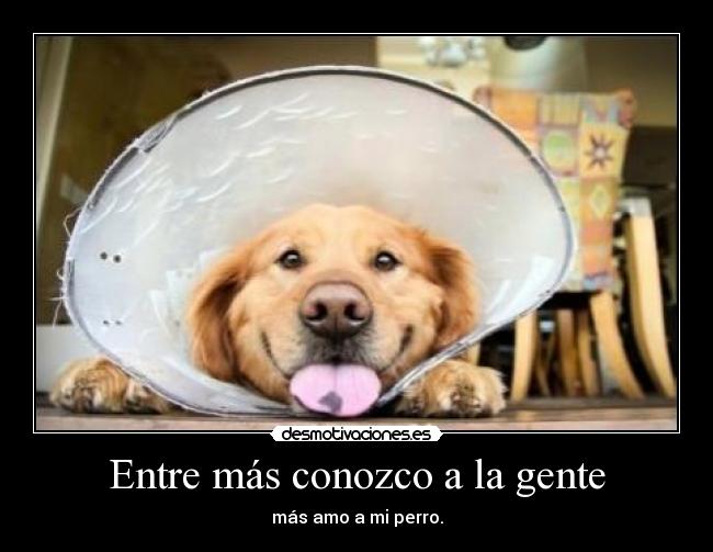 Entre más conozco a la gente -