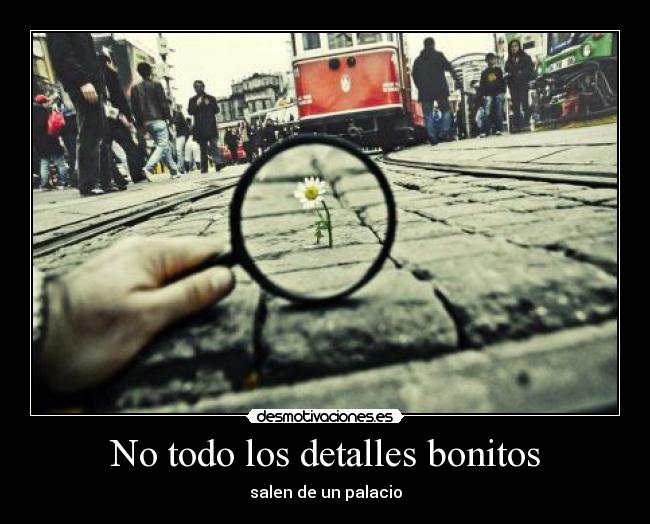 No todo los detalles bonitos -