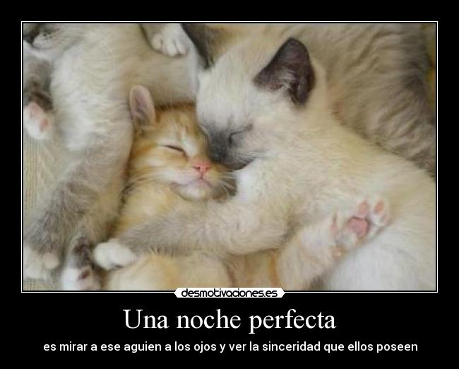 Una noche perfecta - es mirar a ese aguien a los ojos y ver la sinceridad que ellos poseen